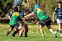 Imagen de la noticia: EL ALL RUGBY LLANERA-BELENOS ENTUSIASMA EN SU ESTRENO EN CASA